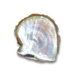 Collection image for: Mother of Pearl