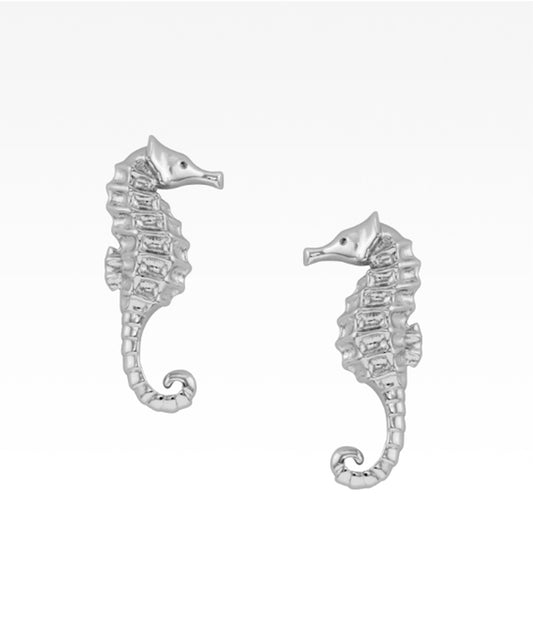 Seahorse Post Earrings