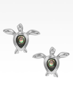 Abalone Sea Turtle Post Earrings