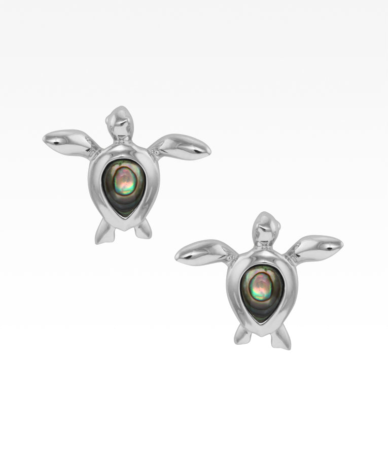 Abalone Sea Turtle Post Earrings