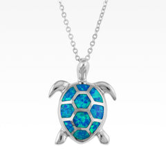 Collection image for: Turtles