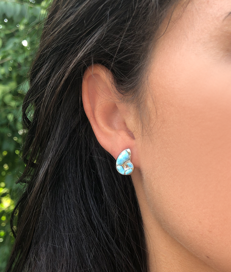 Larimar Nautilus Post Earrings