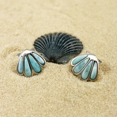 Collection image for: Sand Dollars & Shells