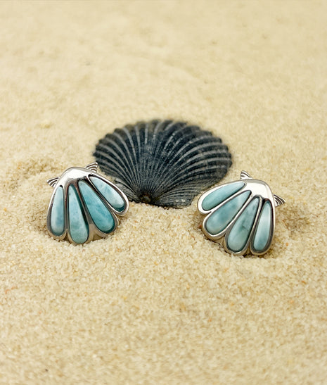 Larimar Sea Shell Post Earrings