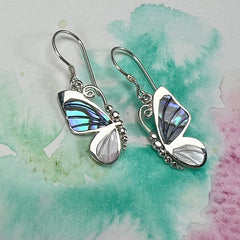 Collection image for: Sand Dollars & Shells